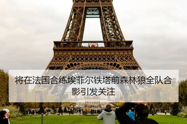 将在法国合练埃菲尔铁塔前森林狼全队合影引发关注